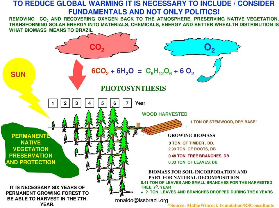 MEANS TO BRAZIL CO 2 O 2 SUN 6CO 2 + 6H 2 O = C 6 H 12 O 6 + 6 O 2 PHOTOSYNTHESIS 1 2 3 4 5 6 7 Year WOOD HARVESTED 1 TON OF STEMWOOD, DRY BASE* PERMANENTE NATIVE VEGETATION PRESERVATION AND