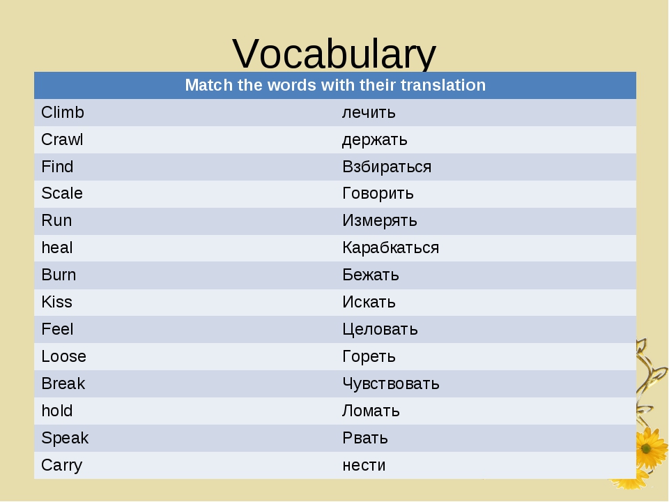 Vocabulary match the words