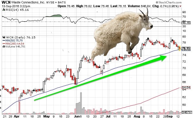 trend trading