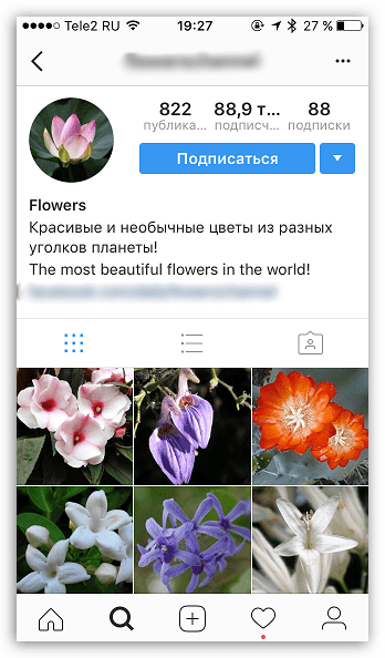 Выбор тематики профиля в Instagram