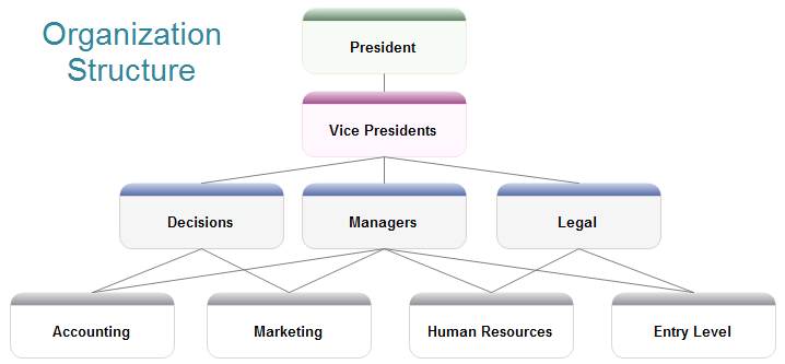Organization Structure Example