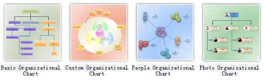 Organization Structure Software