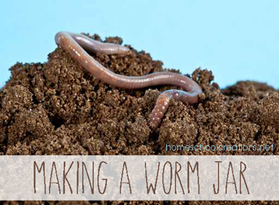 How to make a worm jar