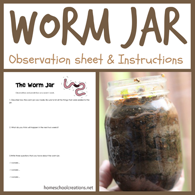 Worm Jar instructions and observation sheet